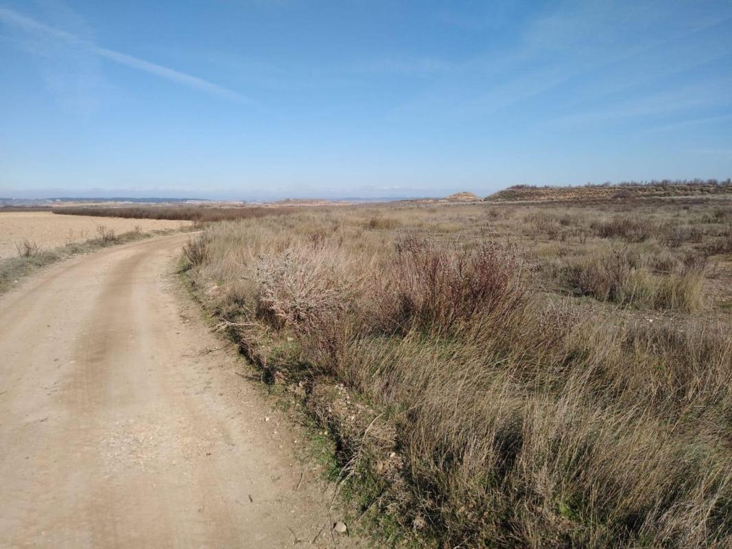 Land for sale in Alfaro, La Rioja photo 3
