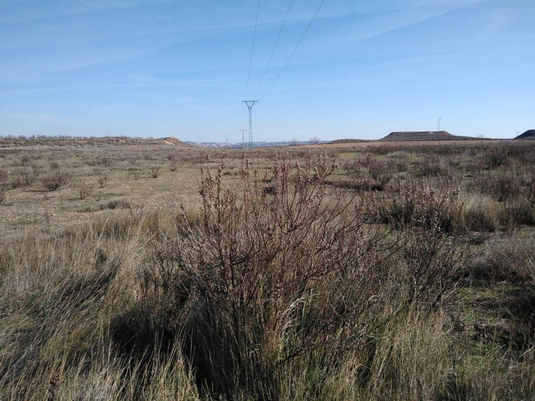Land for sale in Alfaro, La Rioja photo 5
