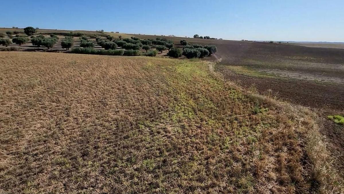 Terreno en venta en Navalcarnero, Madrid photo 2