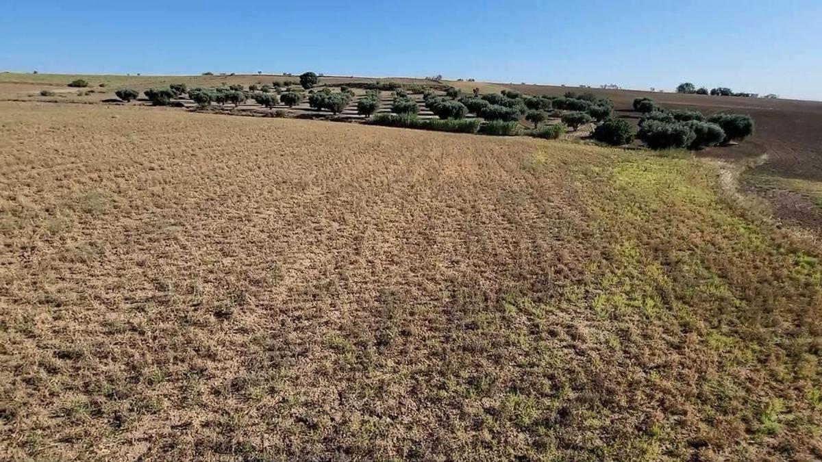 Terreno en venta en Navalcarnero, Madrid photo 3