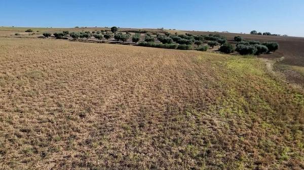 Terreno en Camino del Alto, La Dehesa - El Pinar, Navalcarnero thumbnail 2