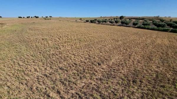 Terreno en Camino del Alto, La Dehesa - El Pinar, Navalcarnero photo 4