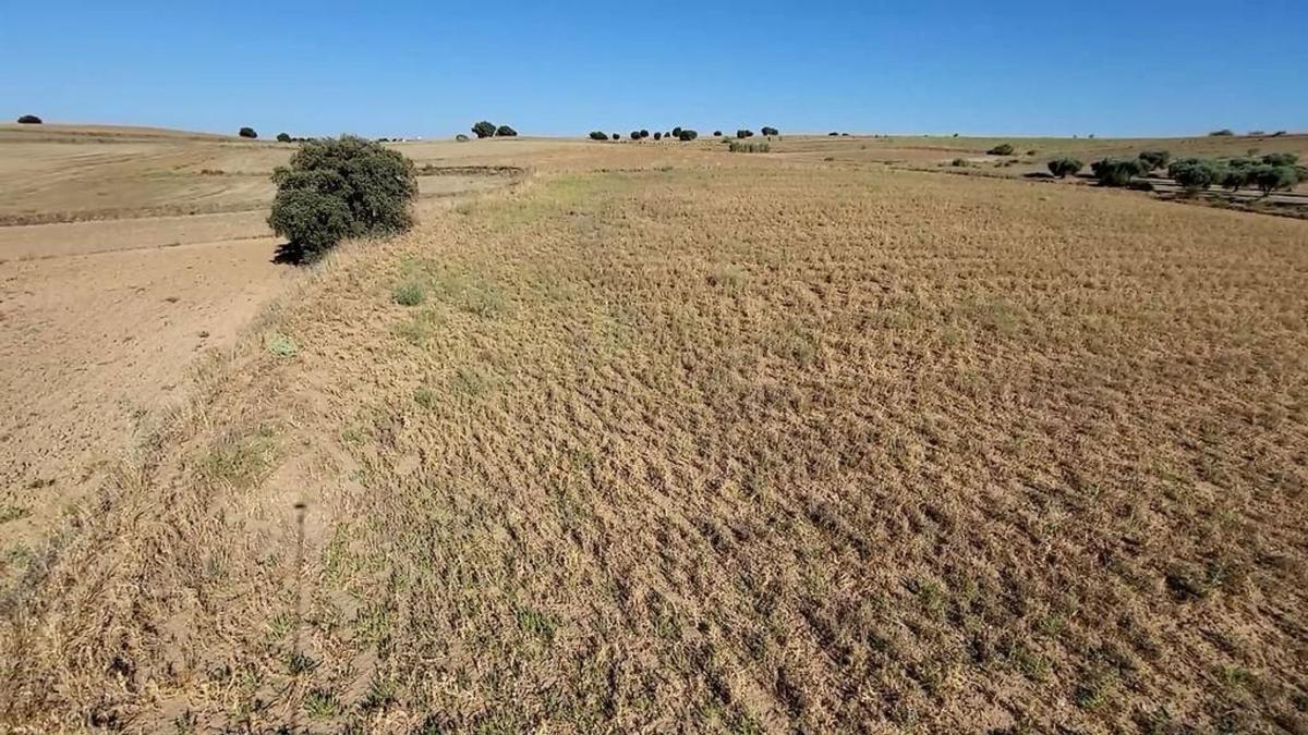 Terreno en venta en Navalcarnero, Madrid photo 5