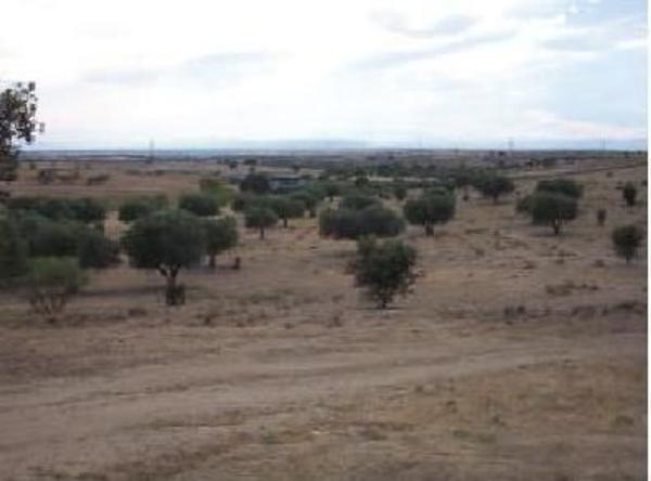 Terreno en Calle Paraje Perdiguera, El Pijorro, Navalcarnero photo 1