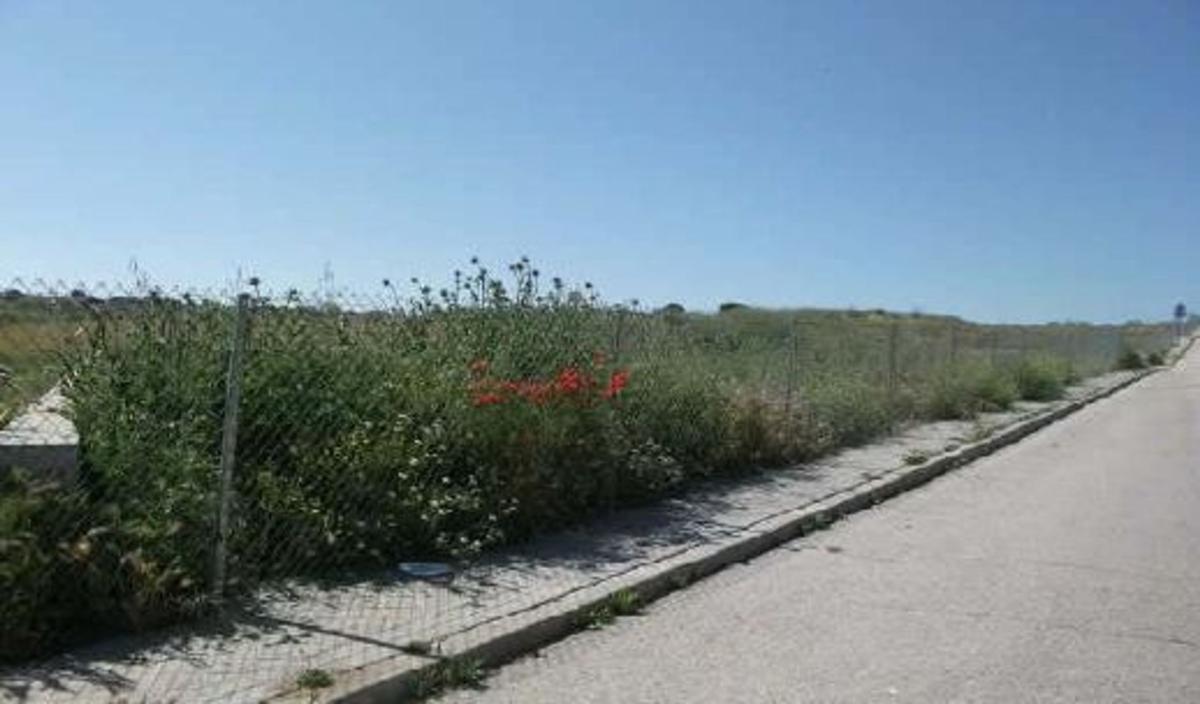Działka na sprzedaż w Villanueva de Perales, Madryt photo 3