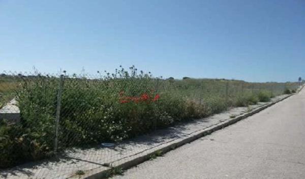 Terreno en Avenida de Julio Alvarez s/n, Villanueva de Perales thumbnail 2