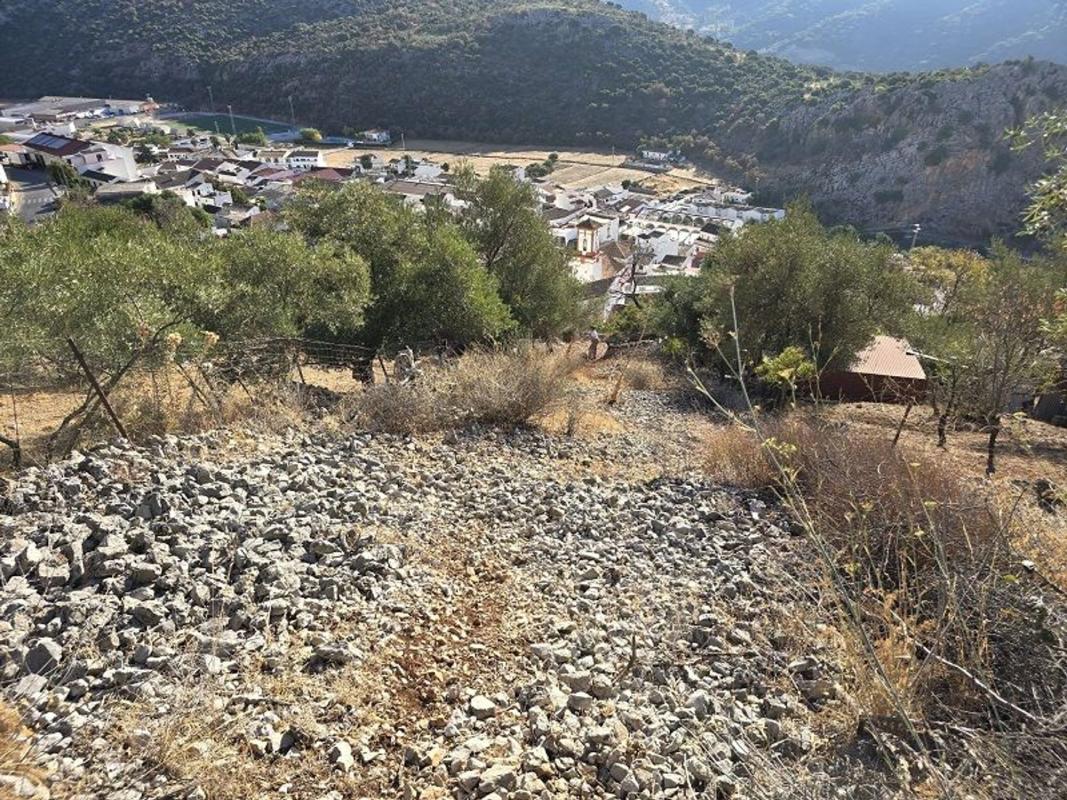 Terreno en venta en Benaojan, Malaga photo 1