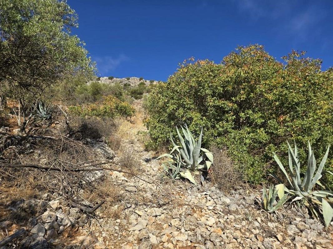 Terreno en venta en Benaojan, Malaga photo 2