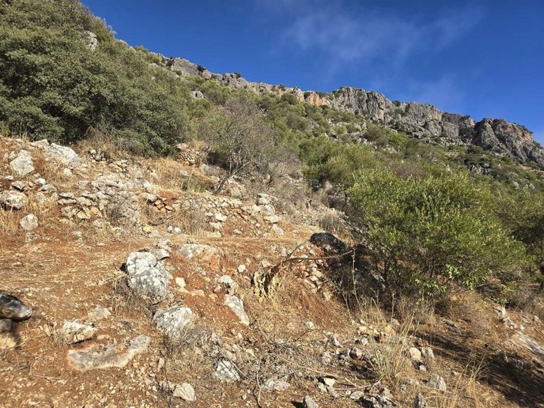 Terreno en venta en Benaojan, Malaga photo 3