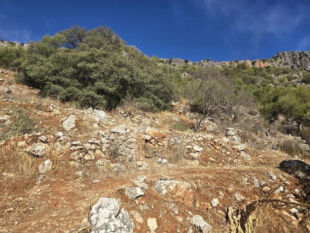Terreno en venta en Benaojan, Malaga photo 4