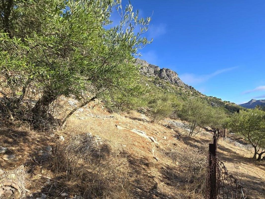 Terreno en venta en Benaojan, Malaga photo 5
