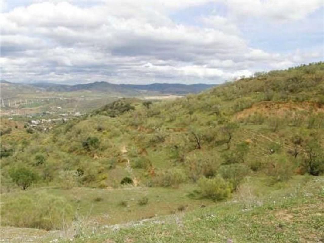 Land for sale in Alora, Malaga photo 1