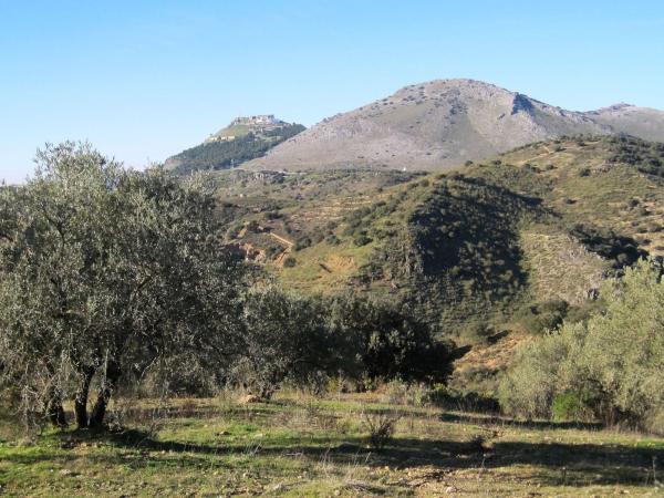 Terreno en A-7202, Archidona photo 1