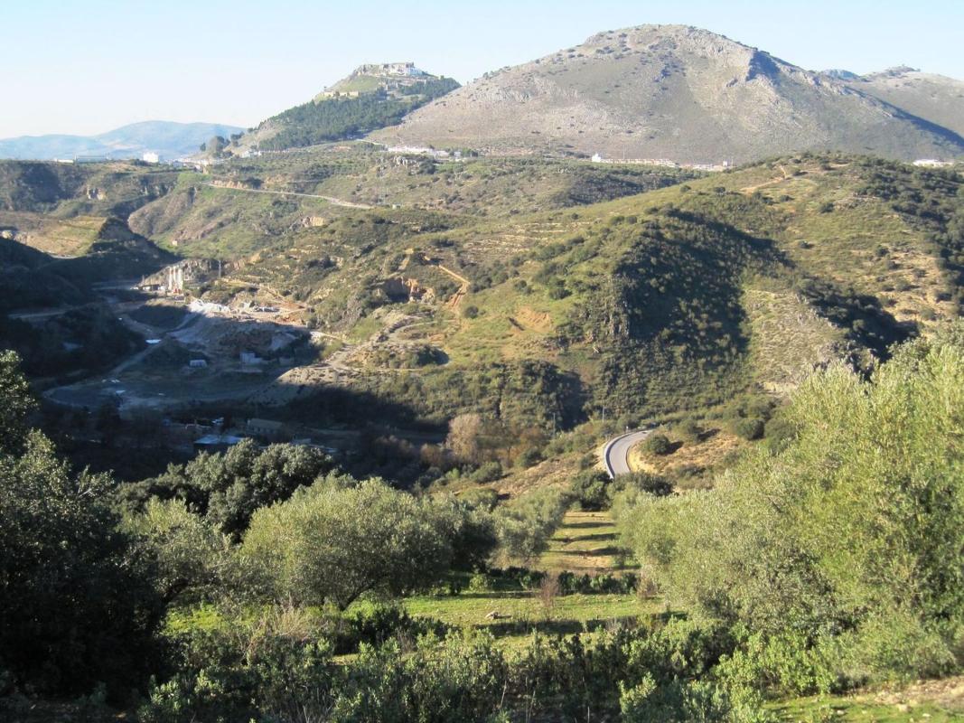 Land for sale in Archidona, Malaga photo 2