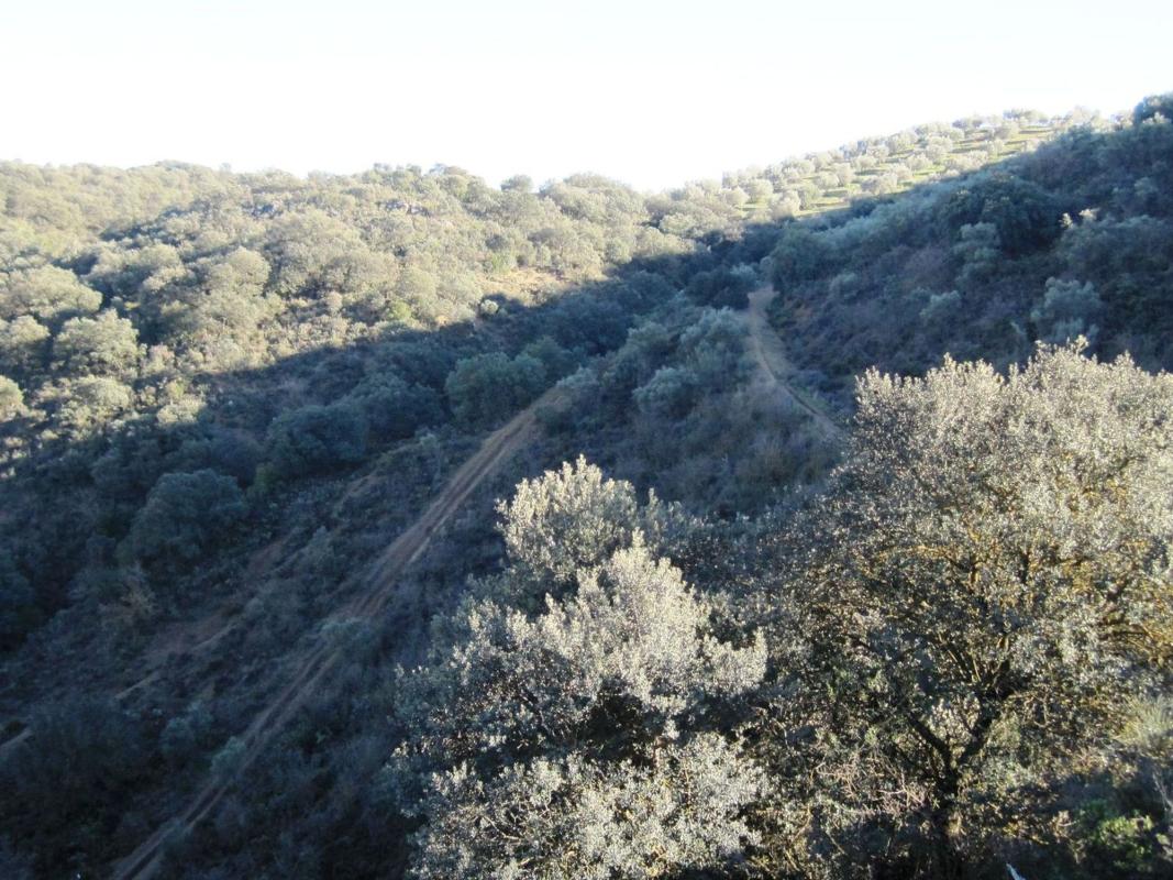 Land for sale in Archidona, Malaga photo 4