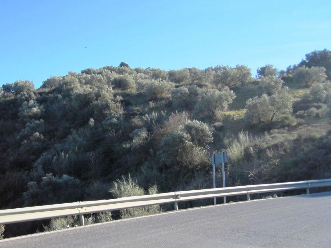 Land for sale in Archidona, Malaga photo 5