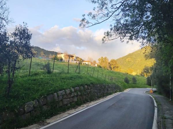 Terreno en Calle Buitreras, 20, Cortes de la Frontera thumbnail 2