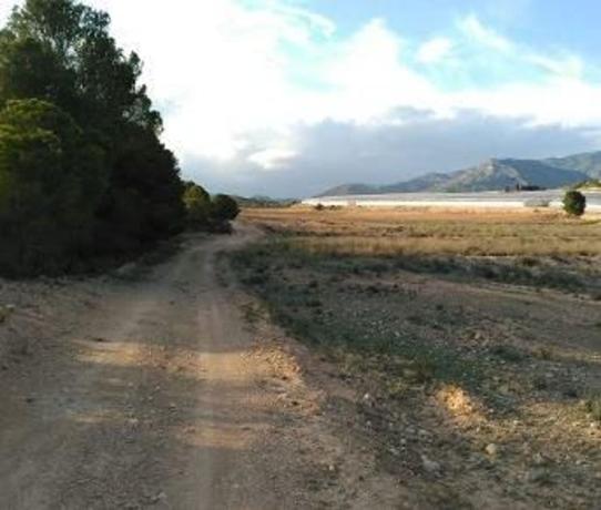 Terreno en C-21, Aledo photo 2