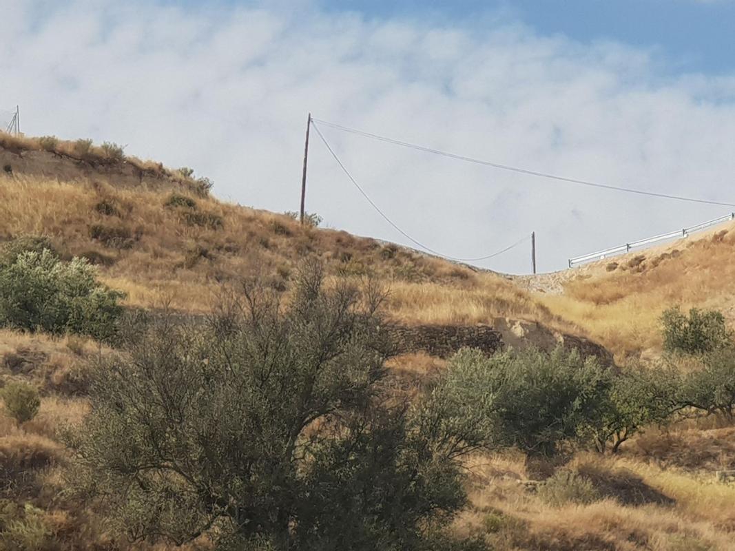 Land for sale in Abarán, Murcia photo 1