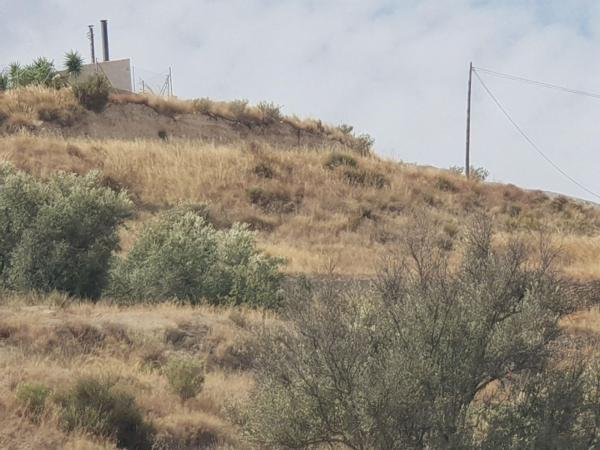 Terreno en Diseminado el Tollo, 162, Abarán photo 3