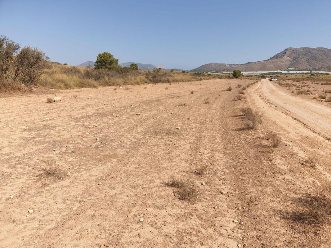Land for sale in Aledo, Murcia photo 1