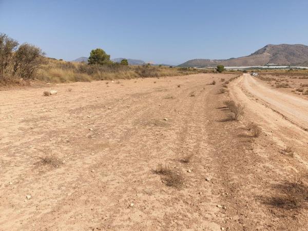 Terreno en Vía, Aledo photo 1