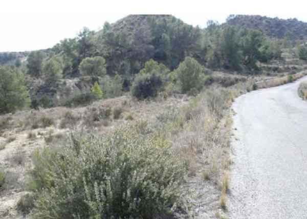 Terreno en Calle del Hornerín, Centro, Molina de Segura photo 1