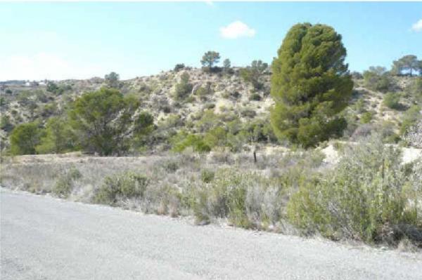 Terreno en Calle del Hornerín, Centro, Molina de Segura photo 2
