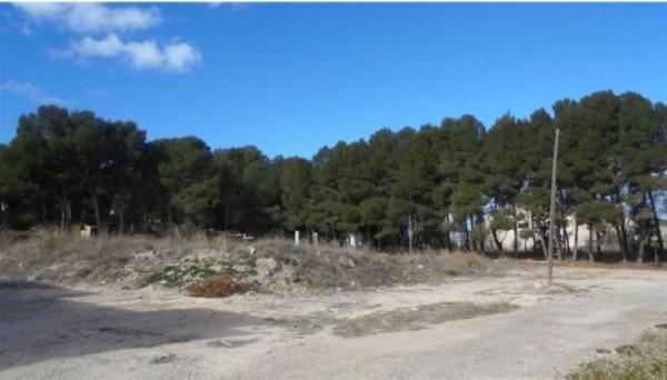 Terreno en Carretera Singla 6, 7, Caravaca de la Cruz photo 1