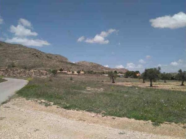 Terreno en Paraje Carretera de Jumilla, Yecla photo 1