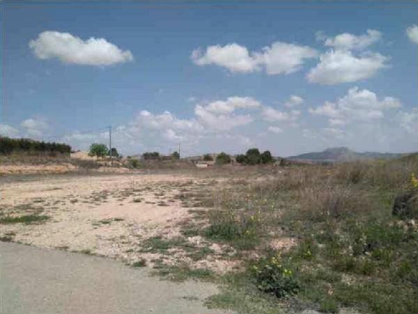 Terreno en Paraje Carretera de Jumilla, Yecla photo 2