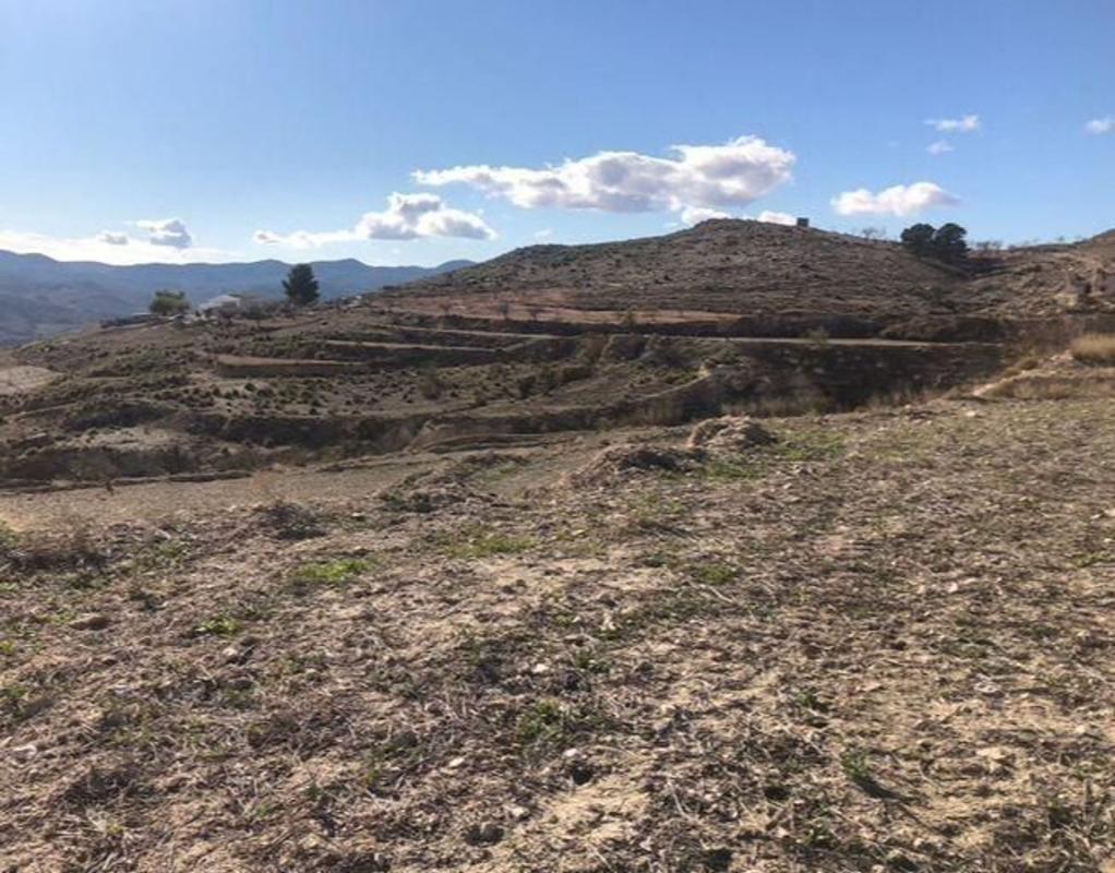 Land for sale in Lorca, Murcia photo 1