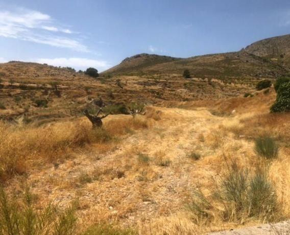 Terreno en Zarcilla de Ramos-Doña Inés, Lorca thumbnail 1