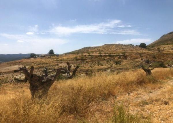 Terreno en Zarcilla de Ramos-Doña Inés, Lorca thumbnail 2