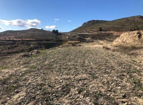 Terreno en Zarcilla de Ramos-Doña Inés, Lorca photo 4