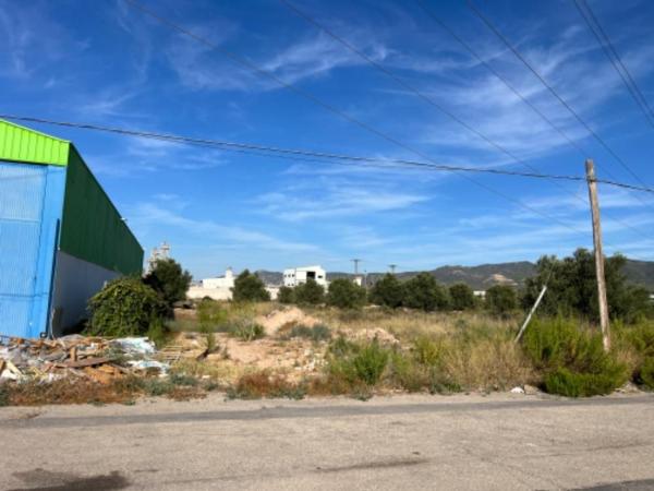 Terreno en Carretera Mazarron, 75, El Palmar, Murcia photo 1
