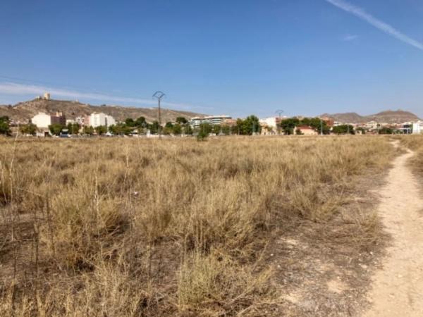 Terreno en Calle Nuestra Sr Asunción Par, Jumilla thumbnail 1