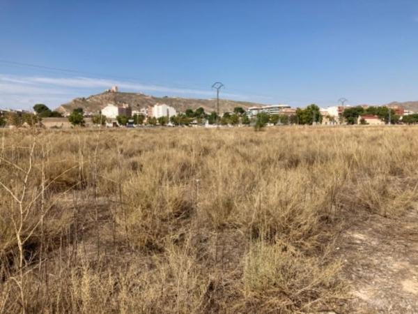 Terreno en Calle Nuestra Sr Asunción Par, Jumilla thumbnail 2