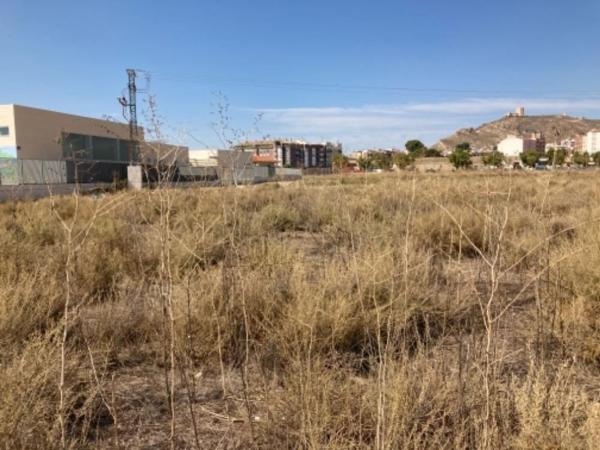 Terreno en Calle Nuestra Sr Asunción Par, Jumilla photo 4