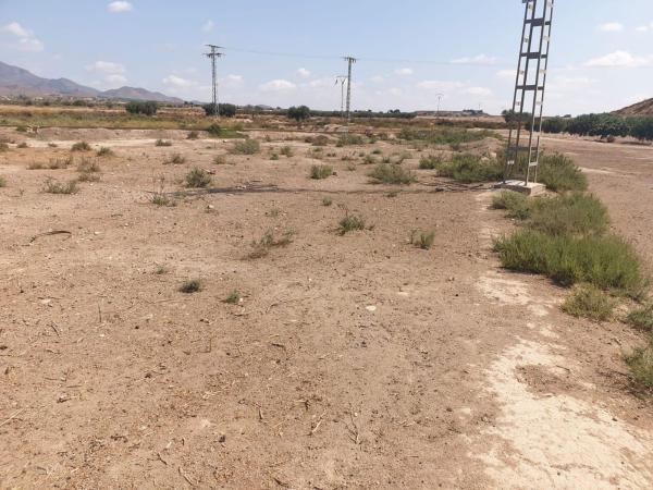 Terreno en Calle San Lázaro, Alhama de Murcia, Alhama de Murcia thumbnail 1