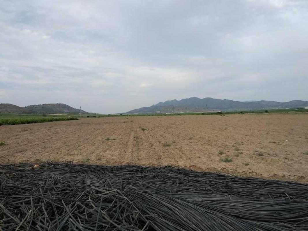 Działka na sprzedaż w Jumilla, Murcja photo 1