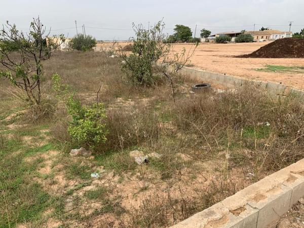 Terreno en Carretera Albujón, 35, Lobosillo, Murcia thumbnail 2