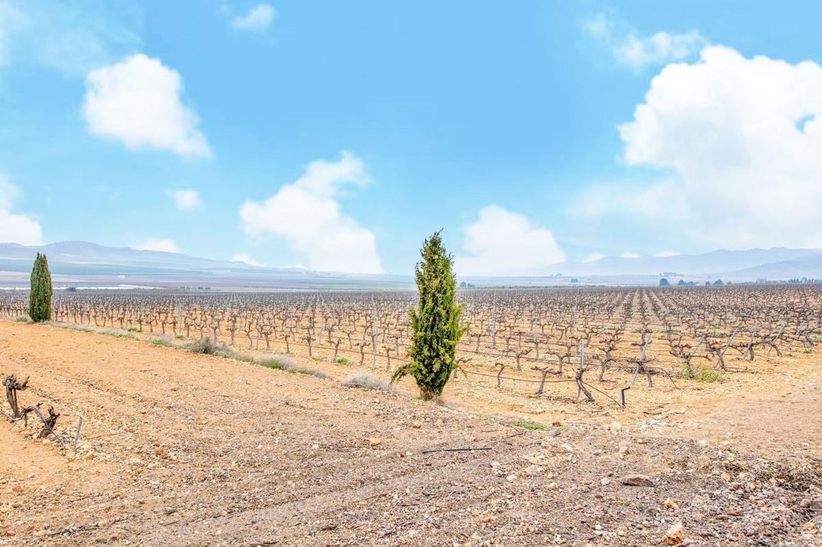 Terreno en venta en Yecla, Murcia photo 2