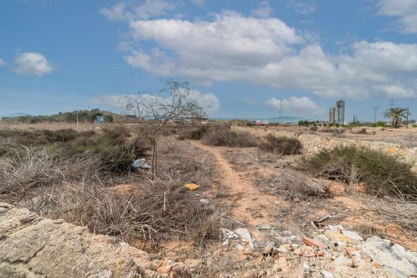 Terreno en Camino Canteras s/n, Churra, Murcia photo 1