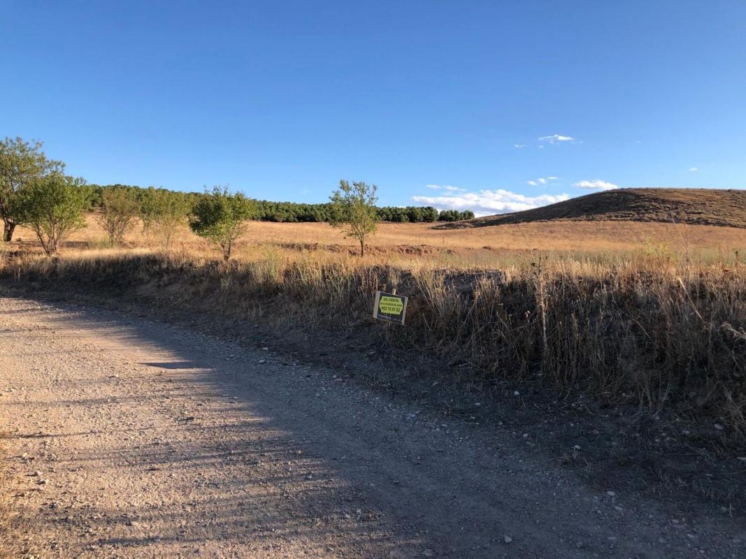 Terreno en venta en Fontellas, Navarra photo 5