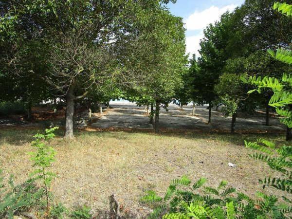 Terreno en Ayegui photo 3