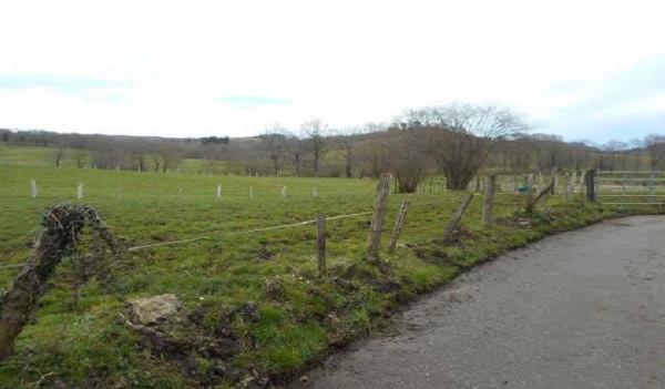 Terreno en Paraje Finca Canton Poligono 39 s/n, Nava thumbnail 1