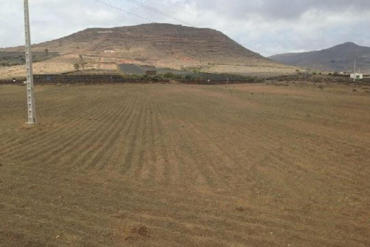 Land for sale in Haria, Las Palmas photo 2