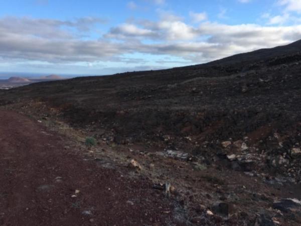 Terreno en Plaza Nuestra Señora de los Remedios, 2, Yaiza - Uga, Yaiza photo 1