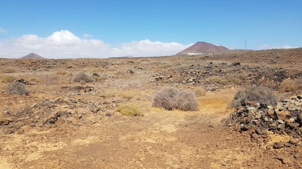 Terreno en Villa de Teguise, Teguise thumbnail 1